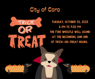 Trick or Treating will be on Tuesday, October 31, 2023 from 6 pm to 7:30 pm. 