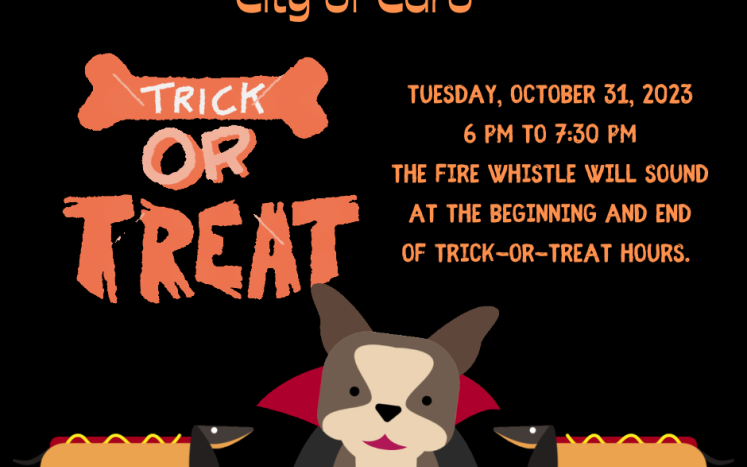 Trick or Treating will be on Tuesday, October 31, 2023 from 6 pm to 7:30 pm. 